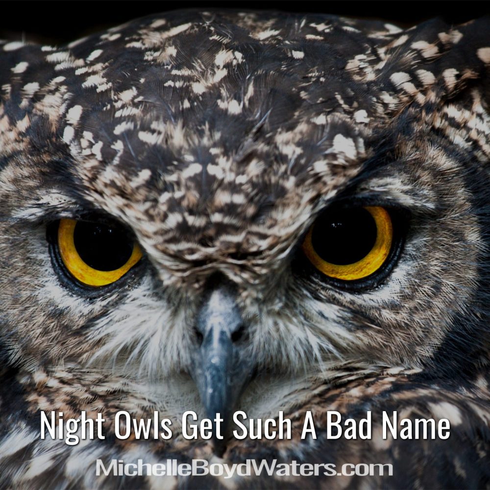 Night Owls Get Such A Bad Name
