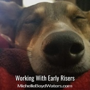 MBW Sleepy Dog